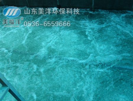 點擊查看詳細信息<br>標題：曝氣 閱讀次數(shù)：3189
