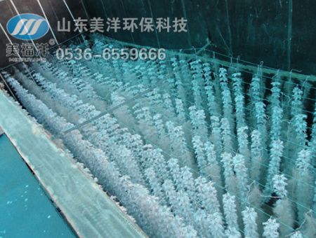 點擊查看詳細信息<br>標題：填料 閱讀次數(shù)：2905
